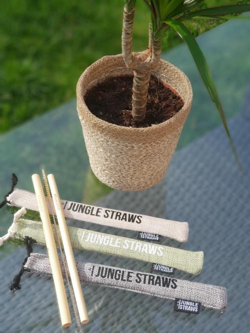 The Eco Stall Bamboo Drinking Straws Sage - image 1